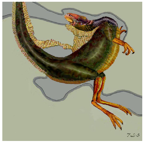 a "fin-tailed" dinosaur