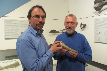 Dr. Toni Bürgin of the Naturmuseum St. Gallen and Hr. Urs Oberli, of Switzerland, together holding the holotype of Banguela oberlii. Very delicately, as the specimen is in two pieces.
